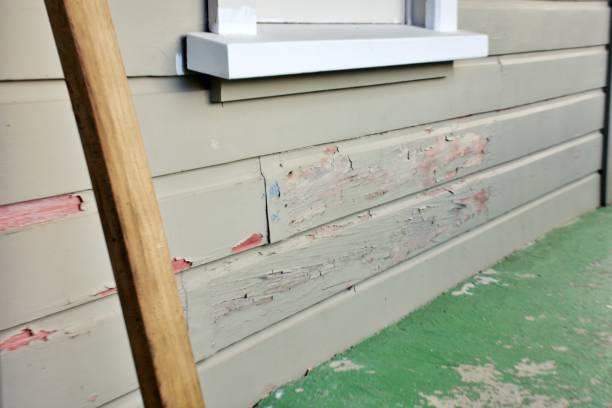 Best Siding for Multi-Family Homes  in USA